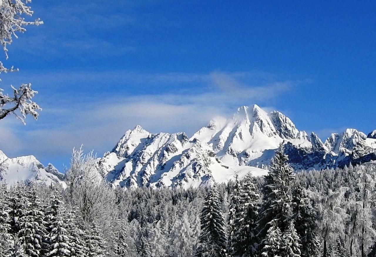 Strbske Pleso Rezidencia Oliver - Apartman 16A Εξωτερικό φωτογραφία